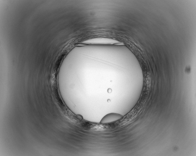X0000098210611200805221628