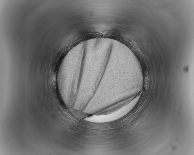 X0000098210613200805221628