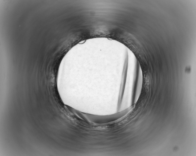 X0000098210617200805221628