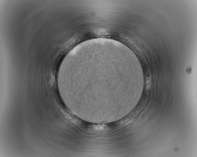 X0000098210618200805221628