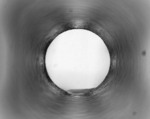 X0000098210620200805221628