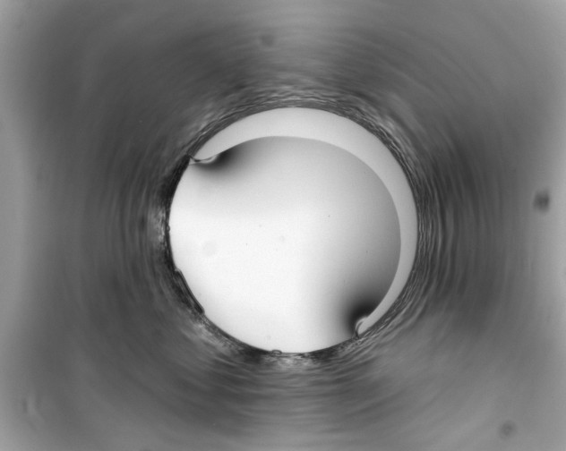 X0000098210621200805221628