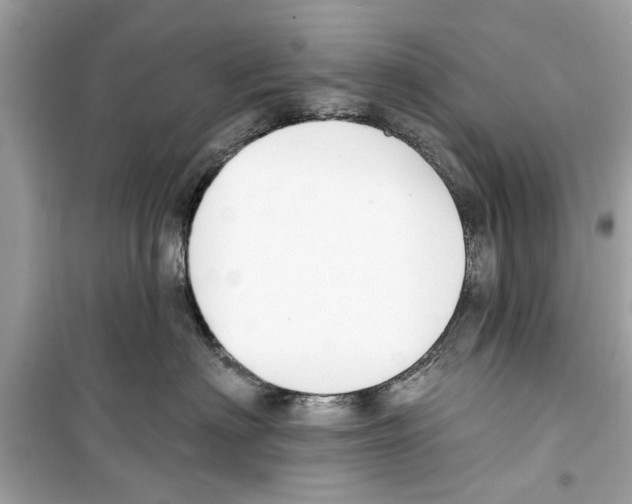 X0000098210622200805221628