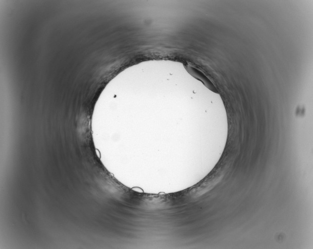 X0000098210624200805221628