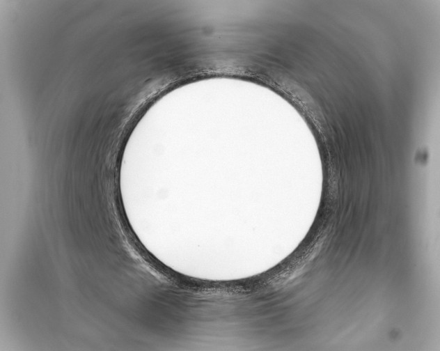X0000098210625200805221628