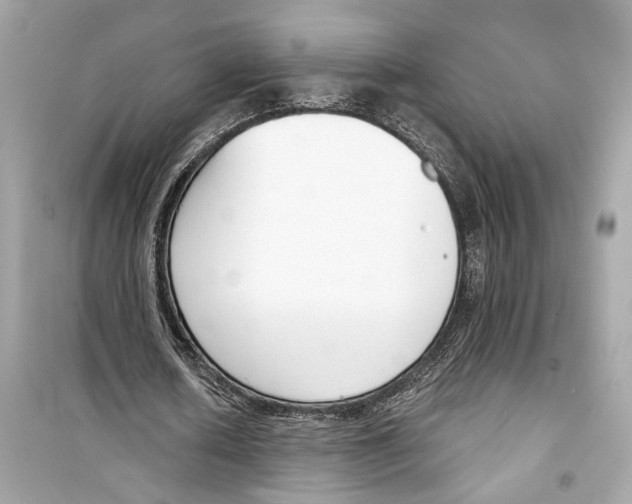 X0000098210626200805221628