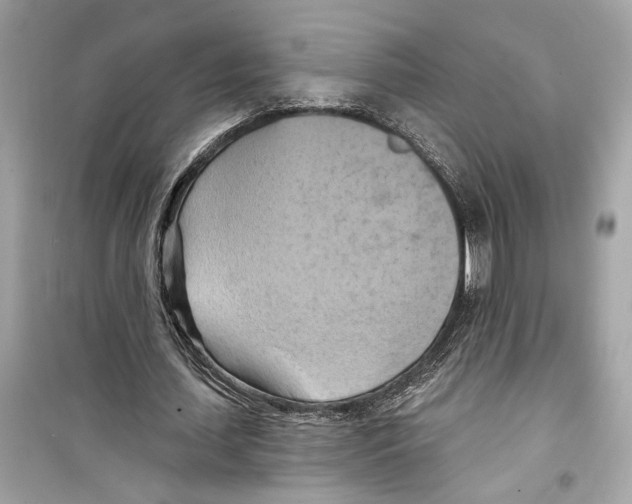 X0000098210627200805221628