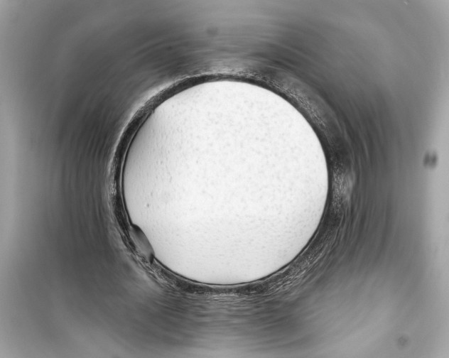 X0000098210628200805221628