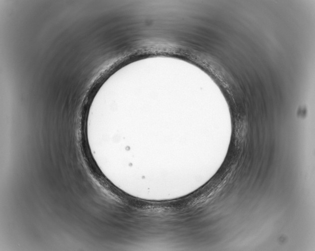 X0000098210629200805221628