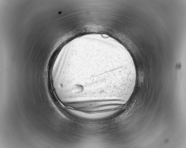 X0000098210630200805221628