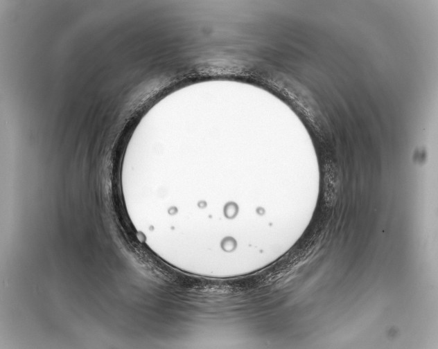 X0000098210631200805221628