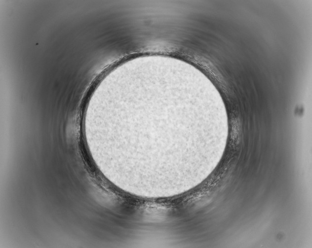 X0000098210632200805221628