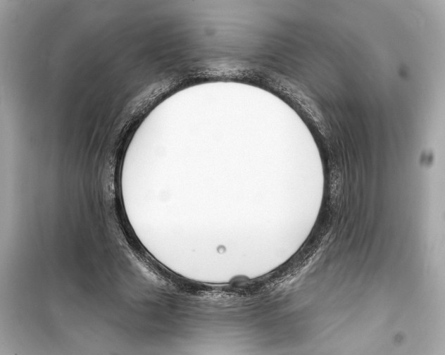 X0000098210633200805221628