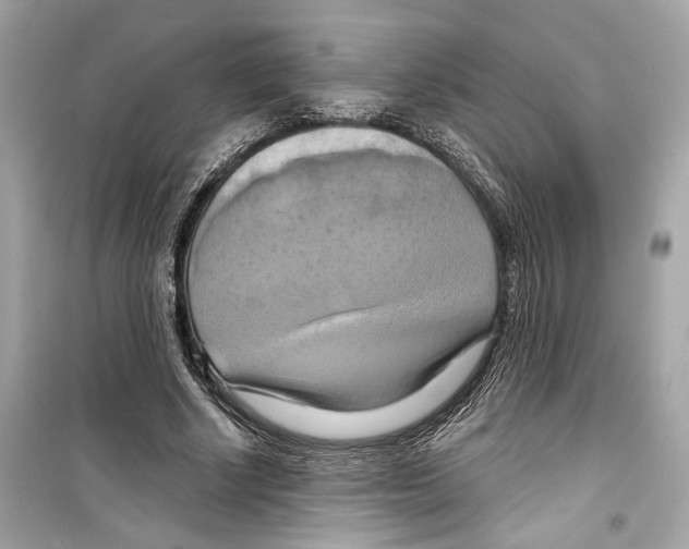 X0000098210634200805221628