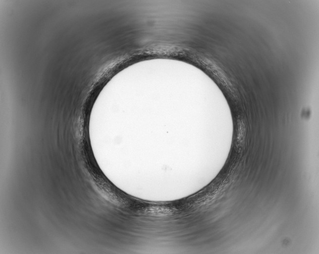 X0000098210636200805221628