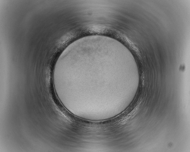 X0000098210637200805221628