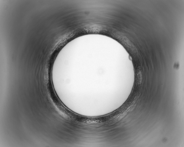 X0000098210638200805221628