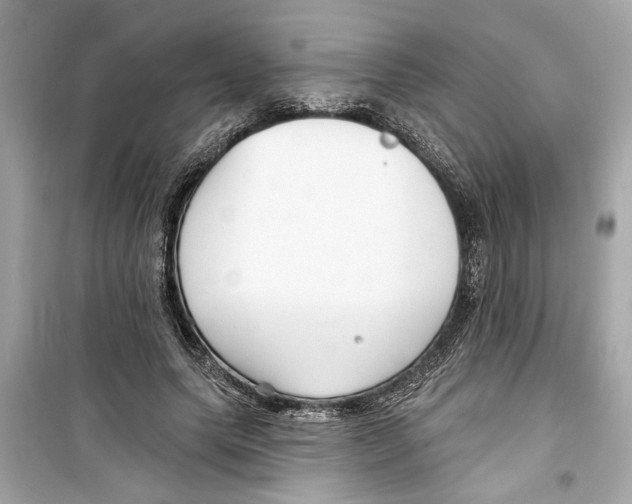 X0000098210639200805221628