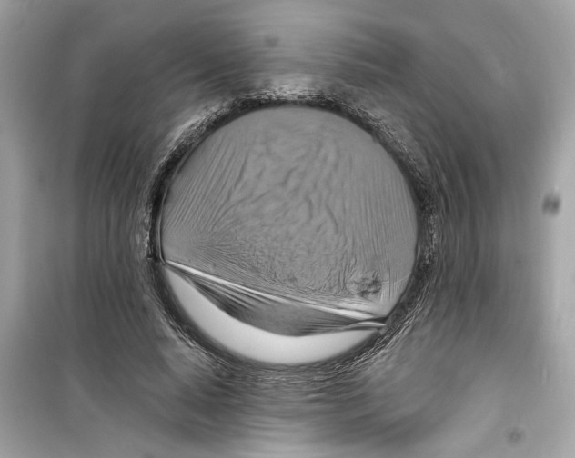 X0000098210640200805221628