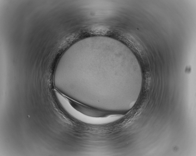 X0000098210641200805221628