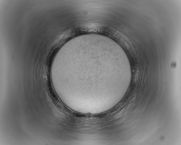 X0000098210643200805221628