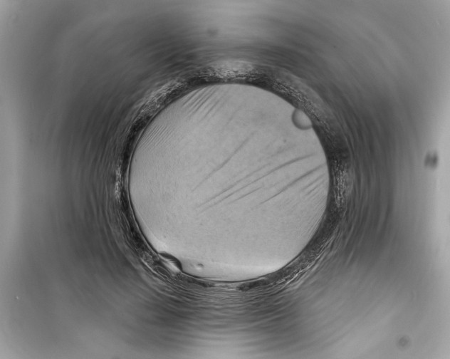 X0000098210644200805221628