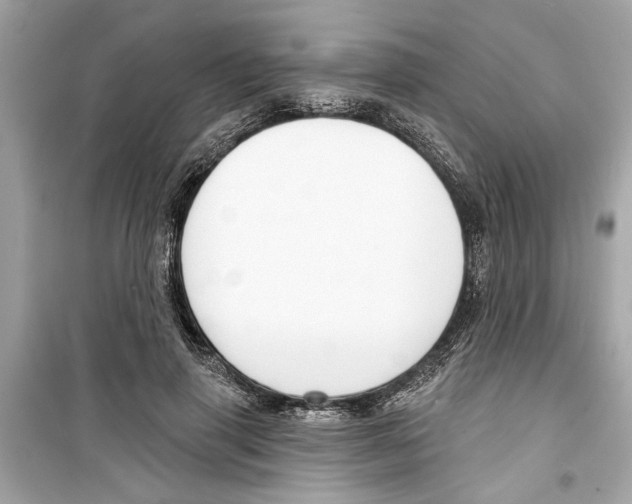 X0000098210645200805221628