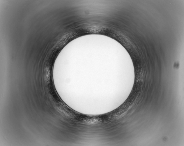 X0000098210646200805221628