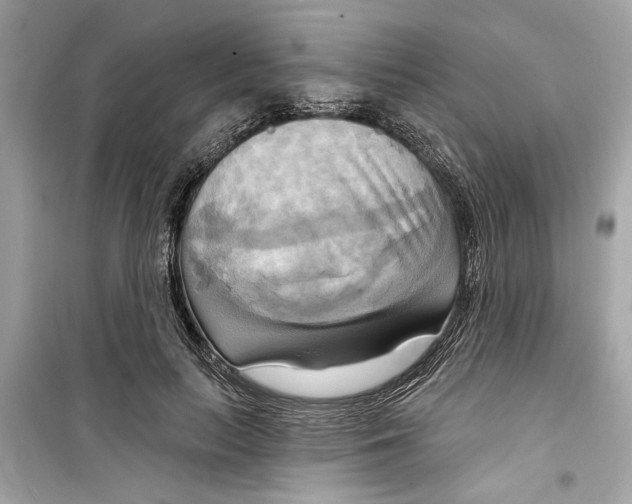 X0000098210647200805221628