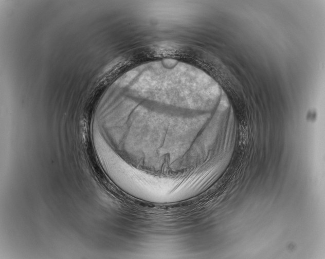 X0000098210648200805221628
