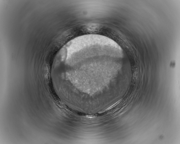 X0000098210651200805221628