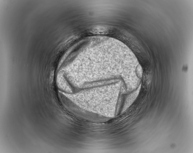 X0000098210652200805221628