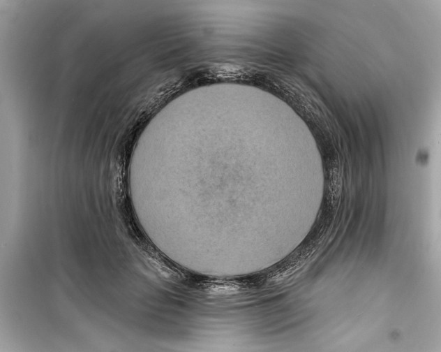 X0000098210653200805221628