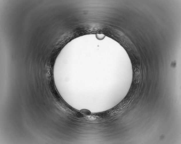 X0000098210654200805221628