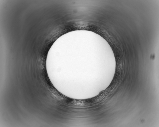 X0000098210658200805221628