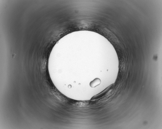 X0000098210660200805221628