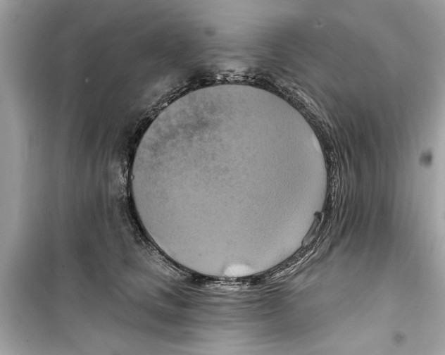 X0000098210661200805221628