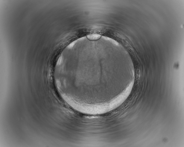 X0000098210663200805221628