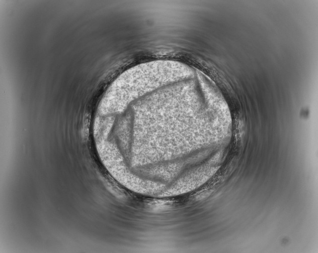 X0000098210664200805221628