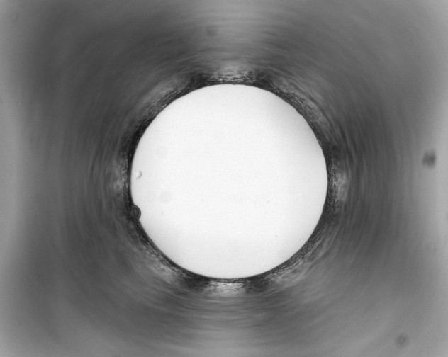 X0000098210665200805221628