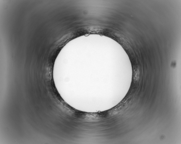 X0000098210666200805221628