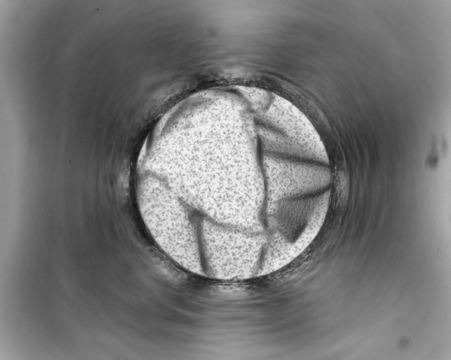 X0000098210668200805221628