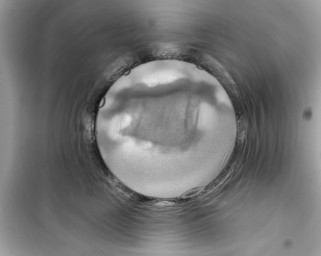 X0000098210669200805221628