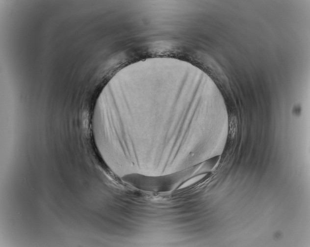 X0000098210670200805221628
