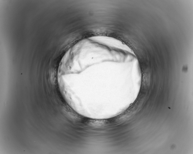 X0000098210671200805221628