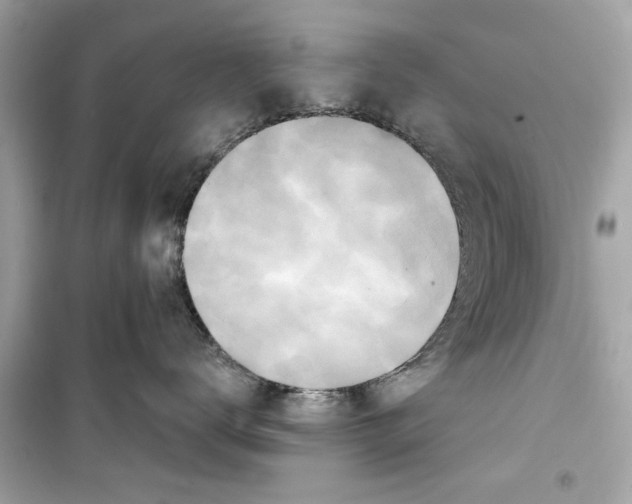 X0000098210672200805221628