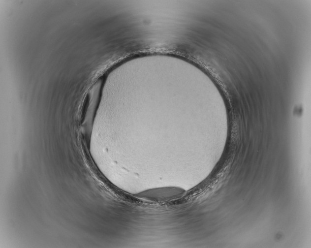 X0000098210673200805221628