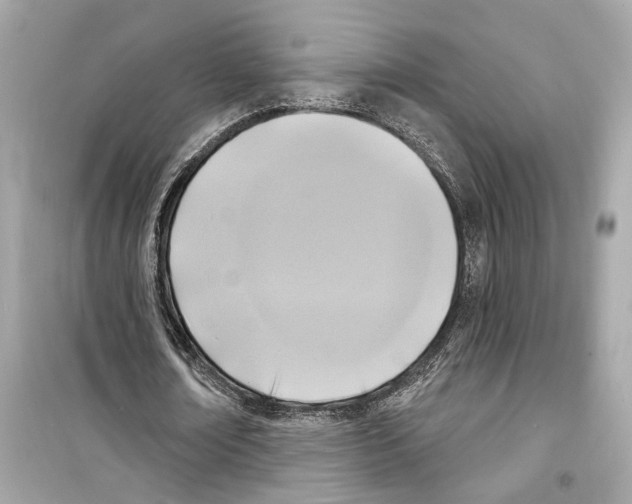 X0000098210674200805221628