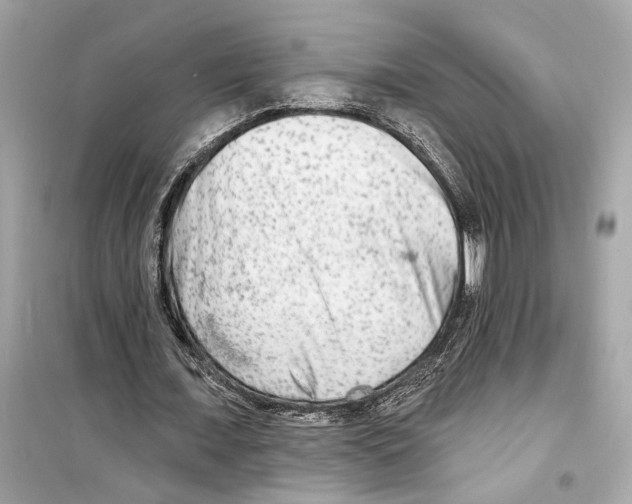 X0000098210675200805221628