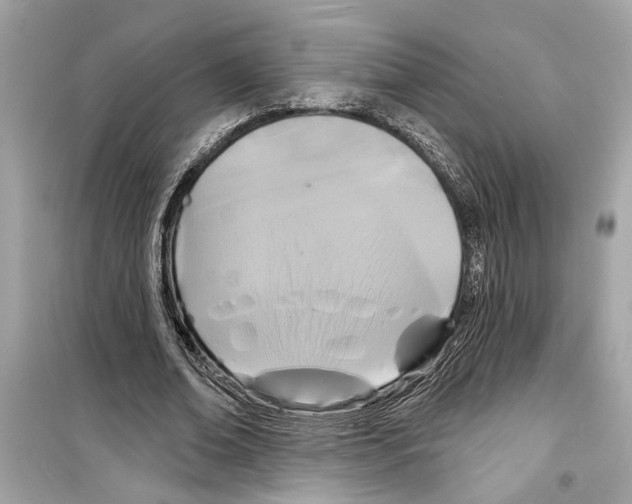 X0000098210678200805221627